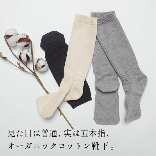 [五本指ソックスレディース綿]オーガニックコットン不思議な5本指靴下rakura4200/40代50代60代女性ファッションコットン無縫製ムレ蒸れにくい靴下5本指吸汗快適厚手冷え取りムレ予防足の臭い予防ラクラ