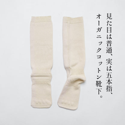 オーガニックコットン 不思議な5本指靴下 ra・ku・ra