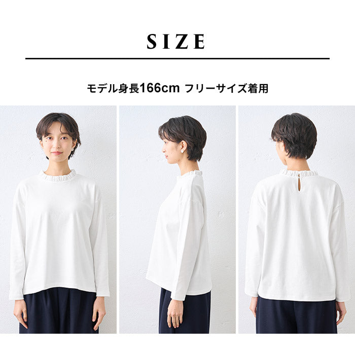 コットン100% フリル襟 カットソー プルオーバー サイズ