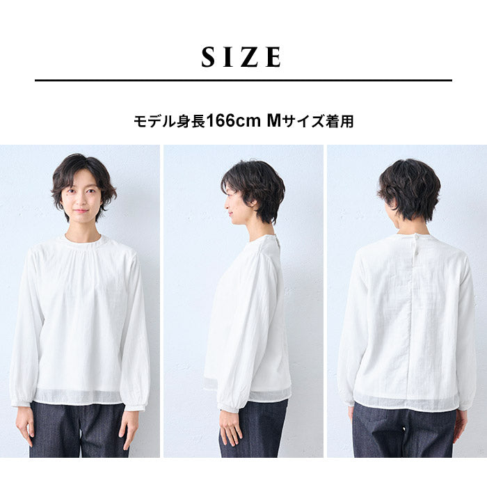 コットン100% 2枚仕立て シフォンブラウス サイズ