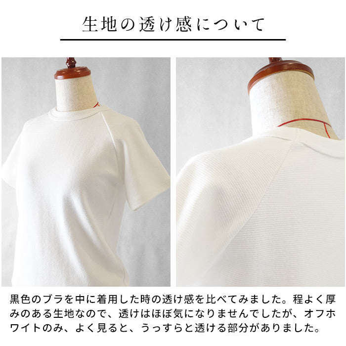 ストレッチ フライス コットン Tシャツ 生地の透け感について