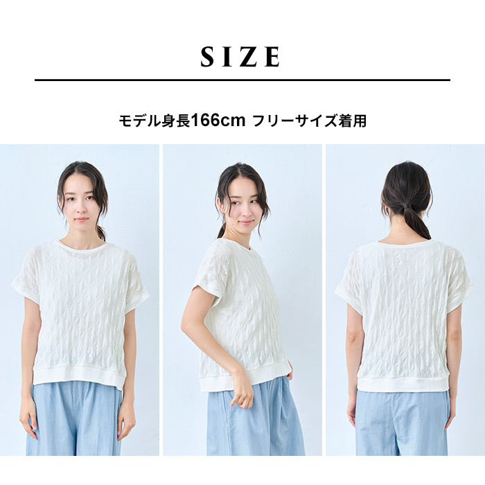 コットン100%強撚 ぽこぽこジャガードTシャツ サイズ感