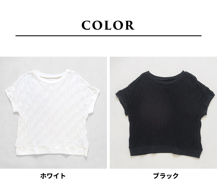 コットン100%強撚 ぽこぽこジャガードTシャツ カラー展開